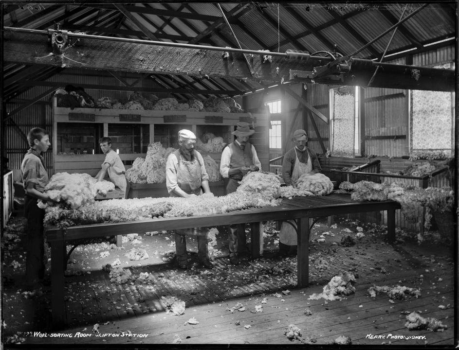 B & W photo showing men in a large shed sorting wool.